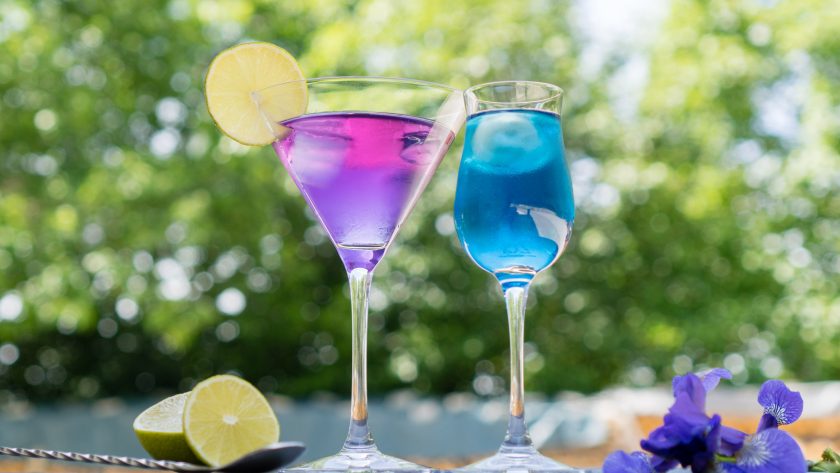 LoRe BlueGin
